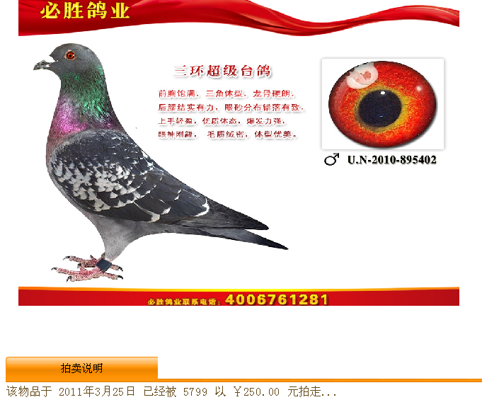 天落鸟