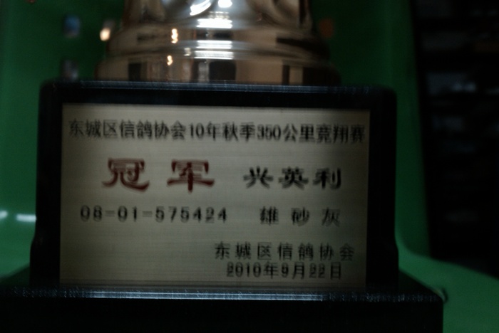 奖杯