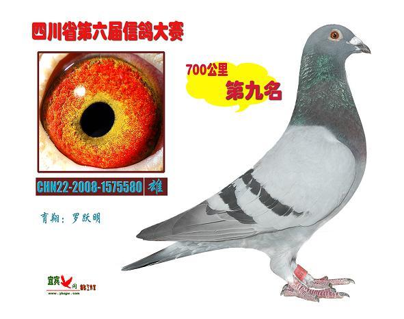 第九名风采