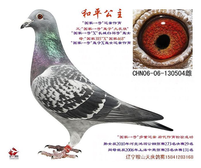 和平公主--国家一号近亲孙女