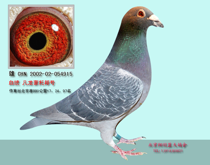 凡龙