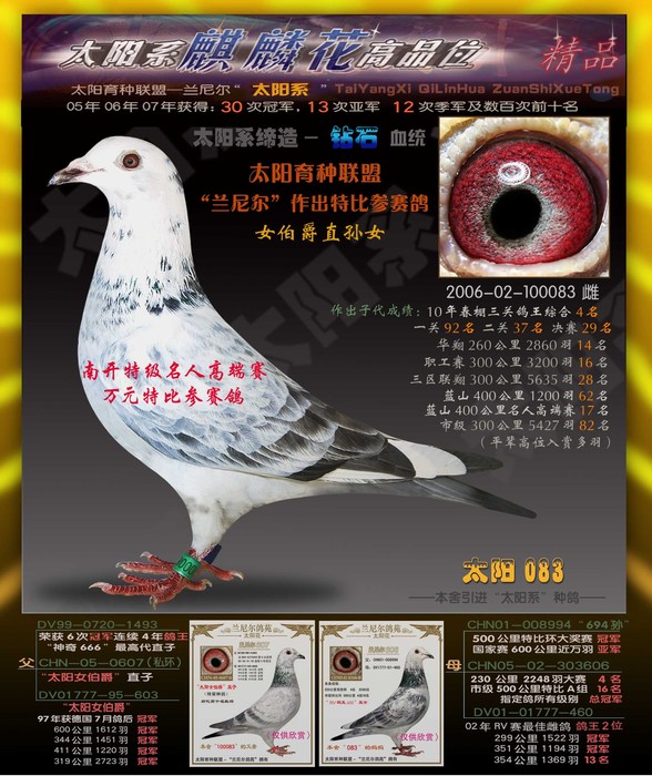 太阳083