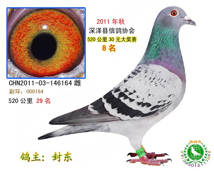 翔宇金母