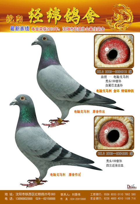 电脑