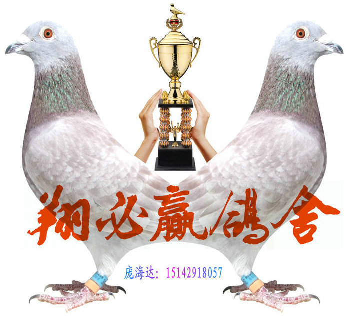 2012--LOGO