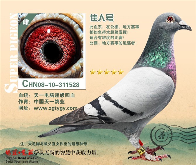 佳人号