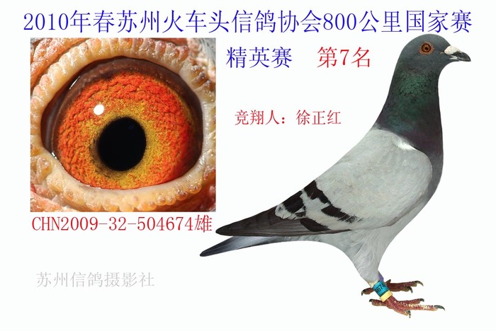 国家赛7名