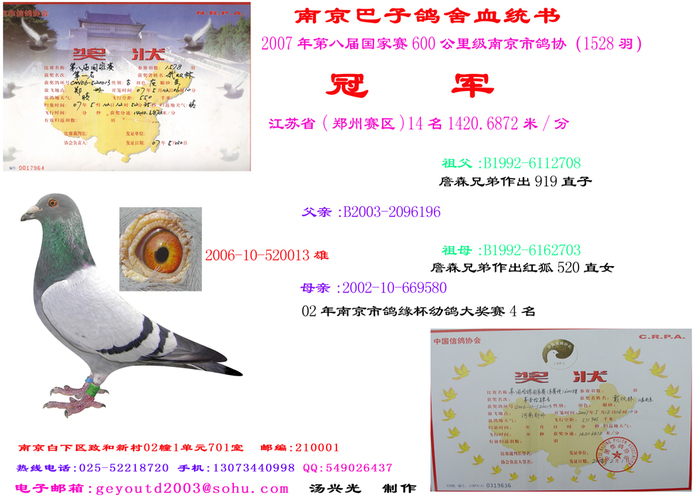 07年第八届国家赛南京市冠军血统表