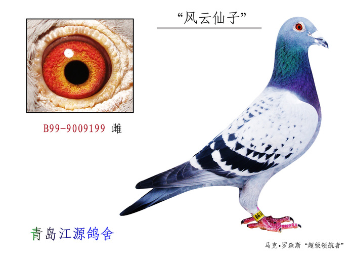 马克.罗森斯