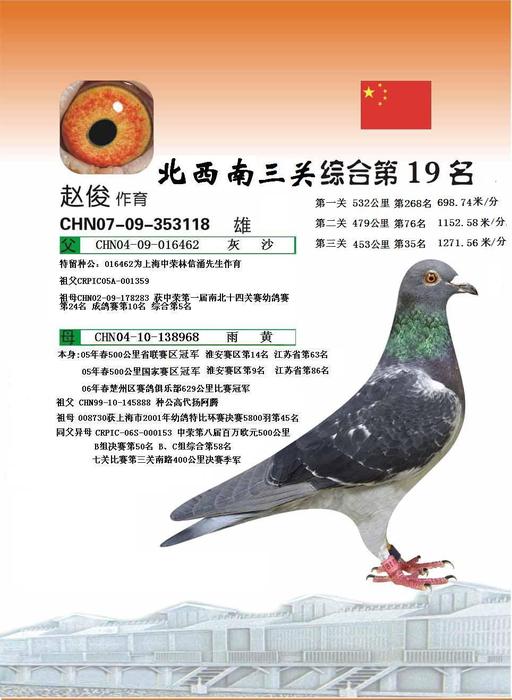 上海中荣首届北、西、南三关综合第19名