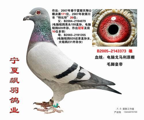 zhongge 