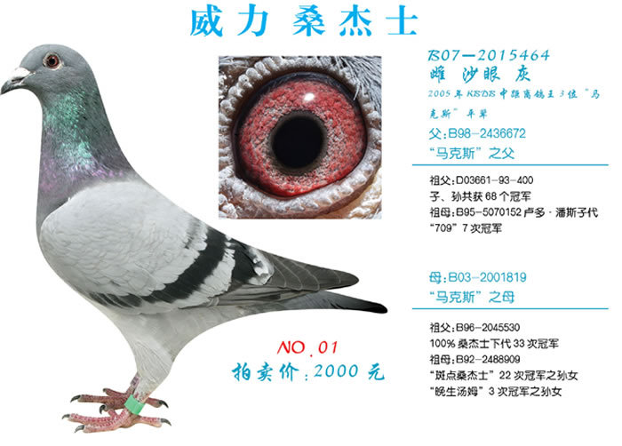 成绩好