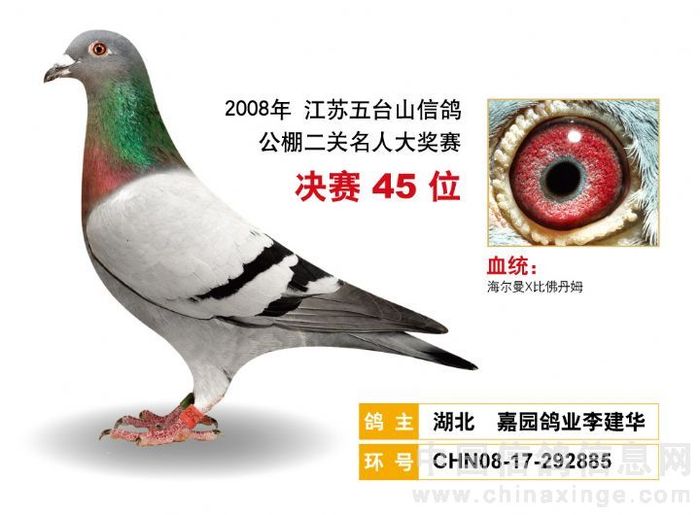 08年南京五台山二关名人大赛公棚