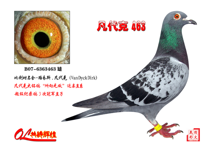 凡代克463