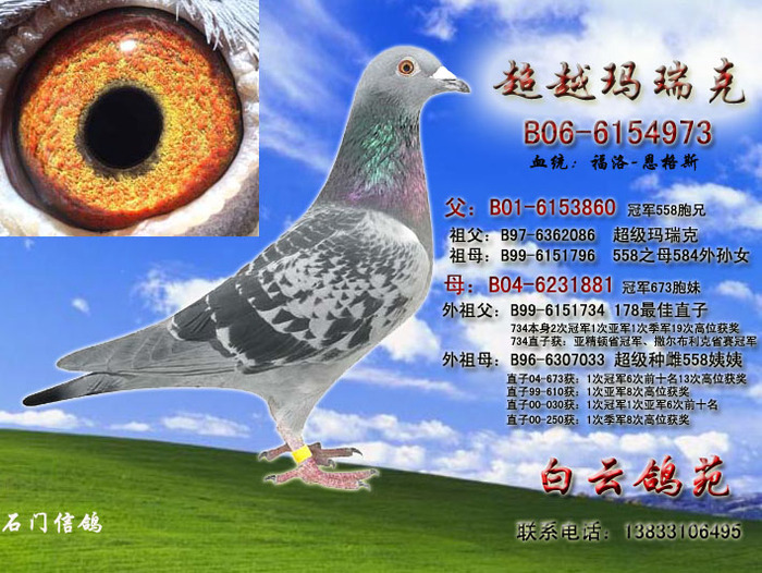 超越玛瑞克