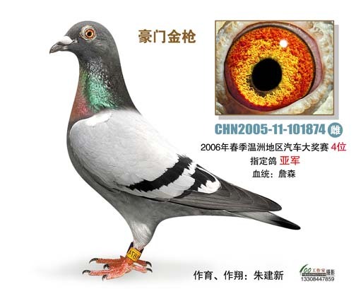 2005年温州市汽车大奖赛4名指定环亚军