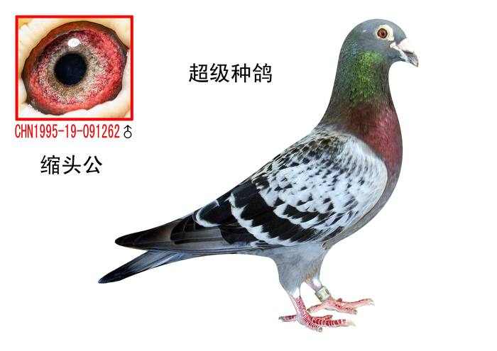 宿头公