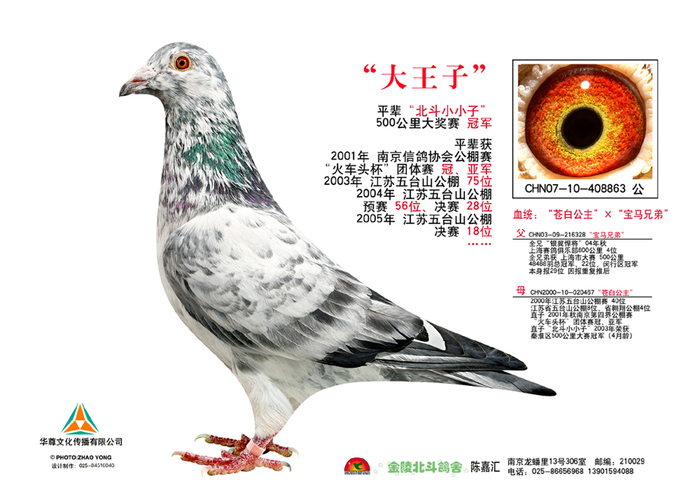 大王子配三和29