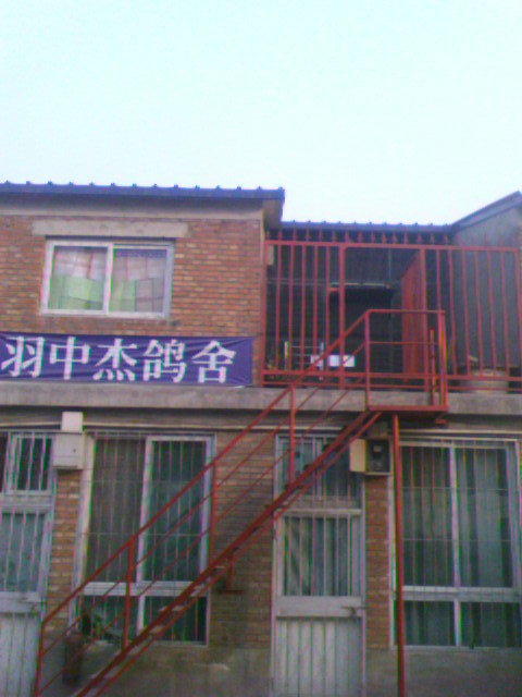 羽中杰