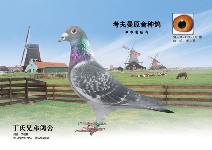 考夫曼原舍