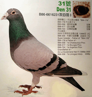 231