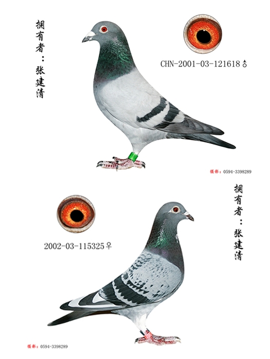 钻石配对618原对