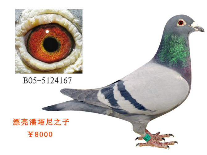 遗忘 
