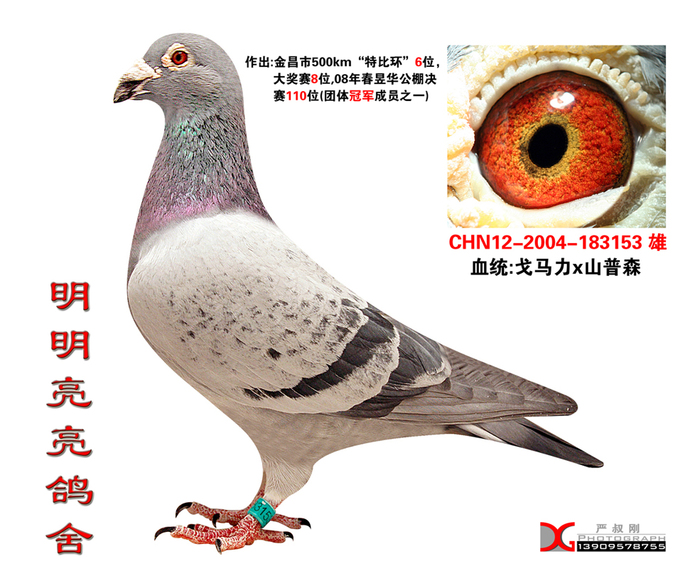 种雄