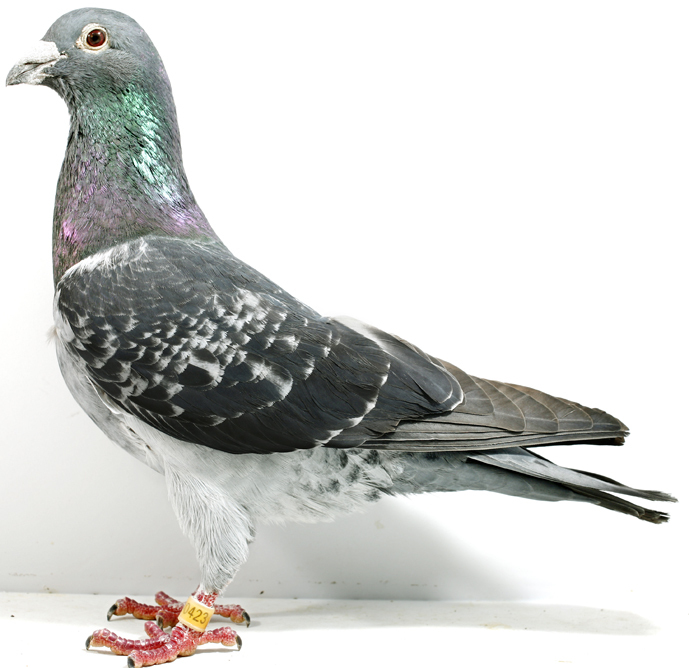 CHN2000-10-340423公2500km7名外形 原始图片08年拍摄