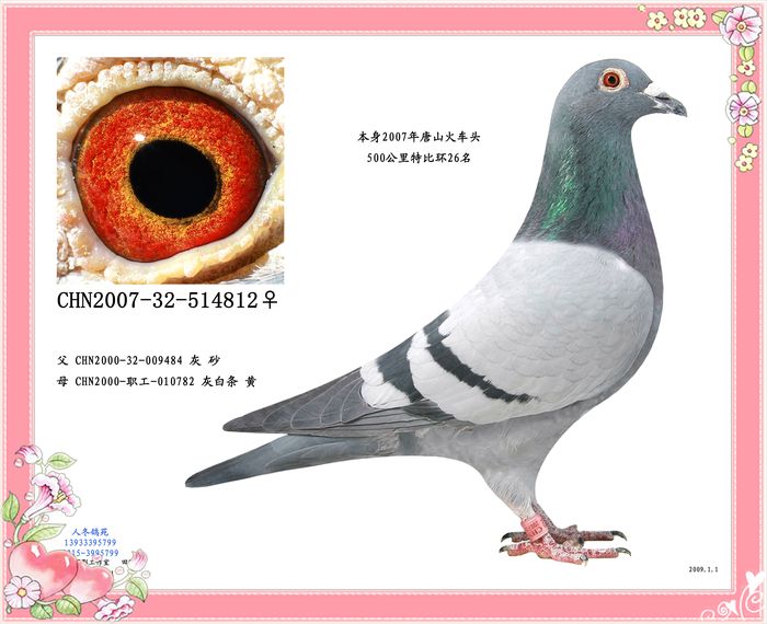 人冬812
