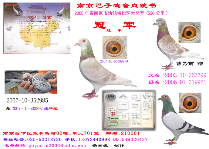 2007-10-352985血统书是特比环冠军平辈