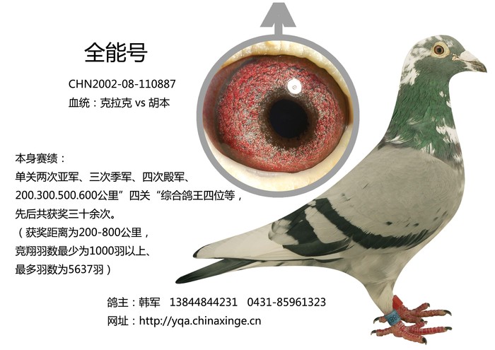 全能号