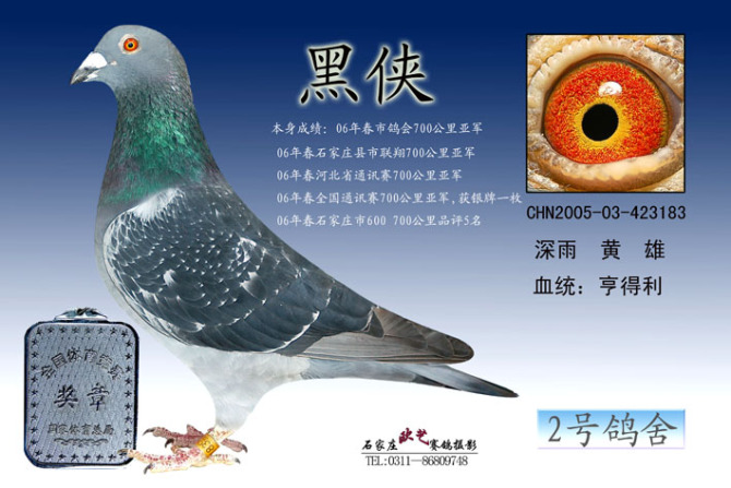 全国700公里亚军