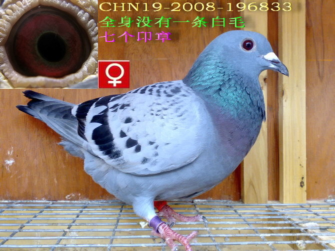 精品乌目请大家欣赏