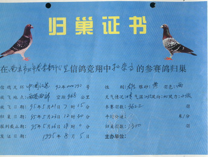 1992-10-000797雄 雨 黄95年春1000km归