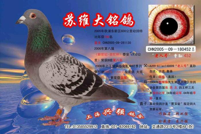 苏维[老人号]直系