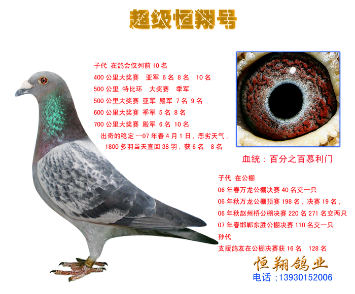 超级“恒翔号”