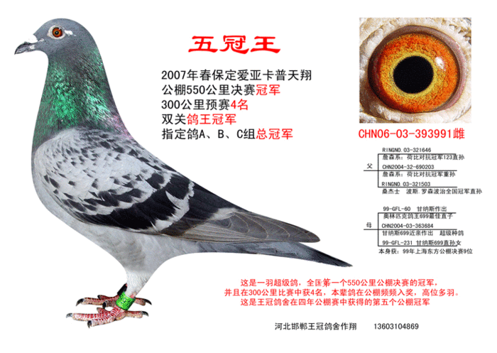 五冠王