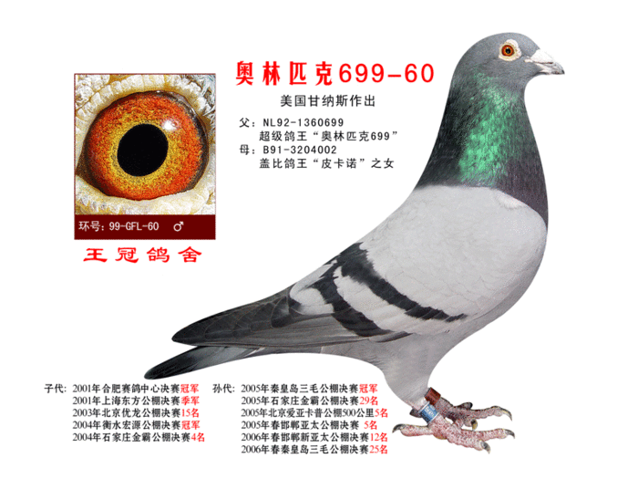 奥林匹克699-60