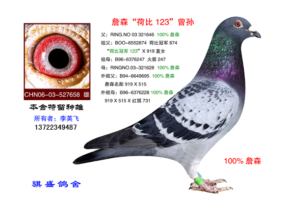 詹森荷比658