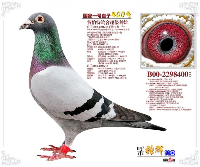 国家一号直子400号