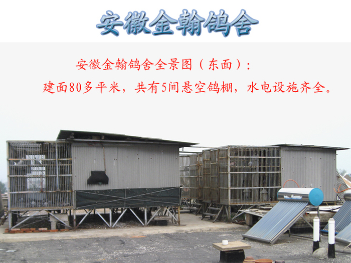 鸽棚全景图（东面）