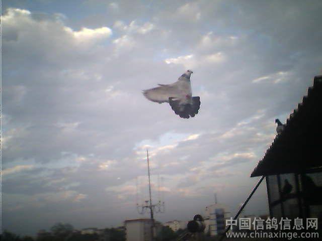 回家了