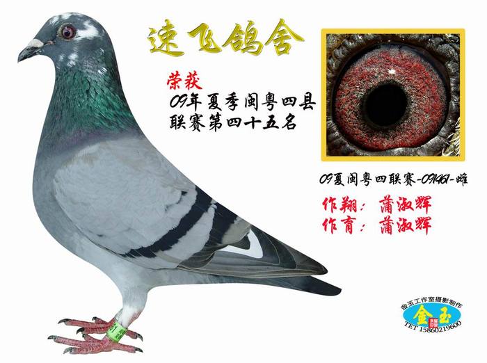 45名