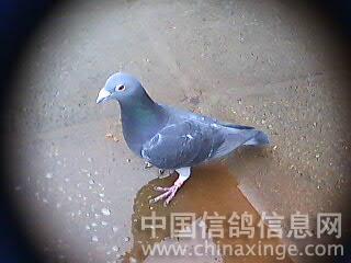 别小看我呀