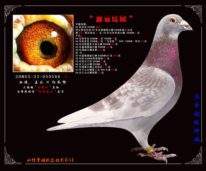 盖比X狐狸