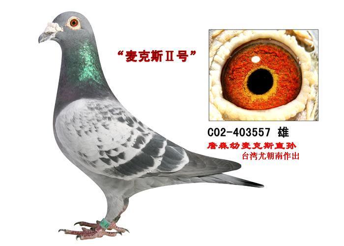 麦克斯2号