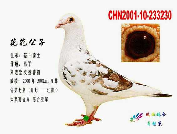 苍白骑士