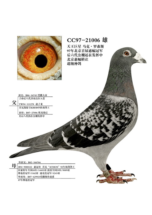 97年北京惠幅冠军——马克 罗森斯 天王巨星