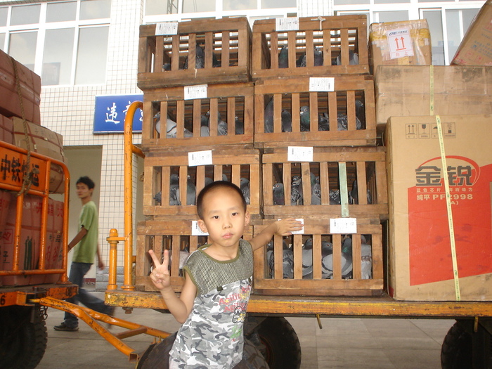 小小司放员